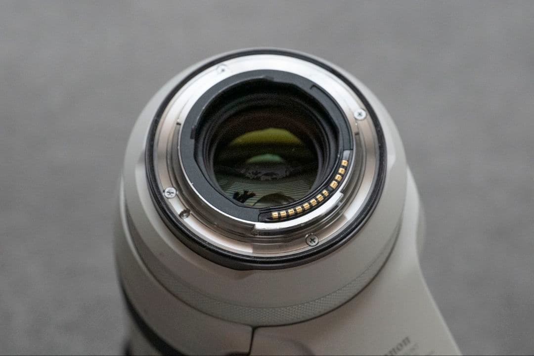 C プロフ必読さま専用　Canon RF 100-500mm F4.5-7.1