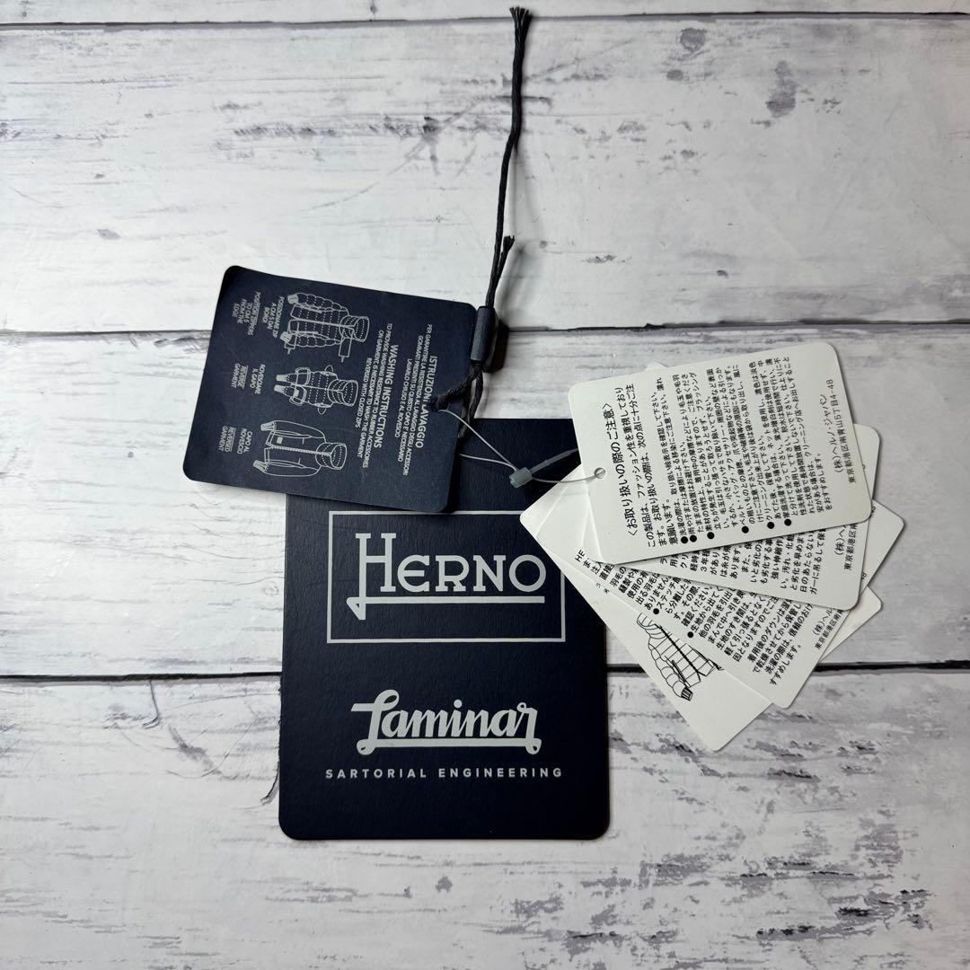 【美品】ヘルノ HERNO ラミナー ゴアテックス フード付きダウンコート50
