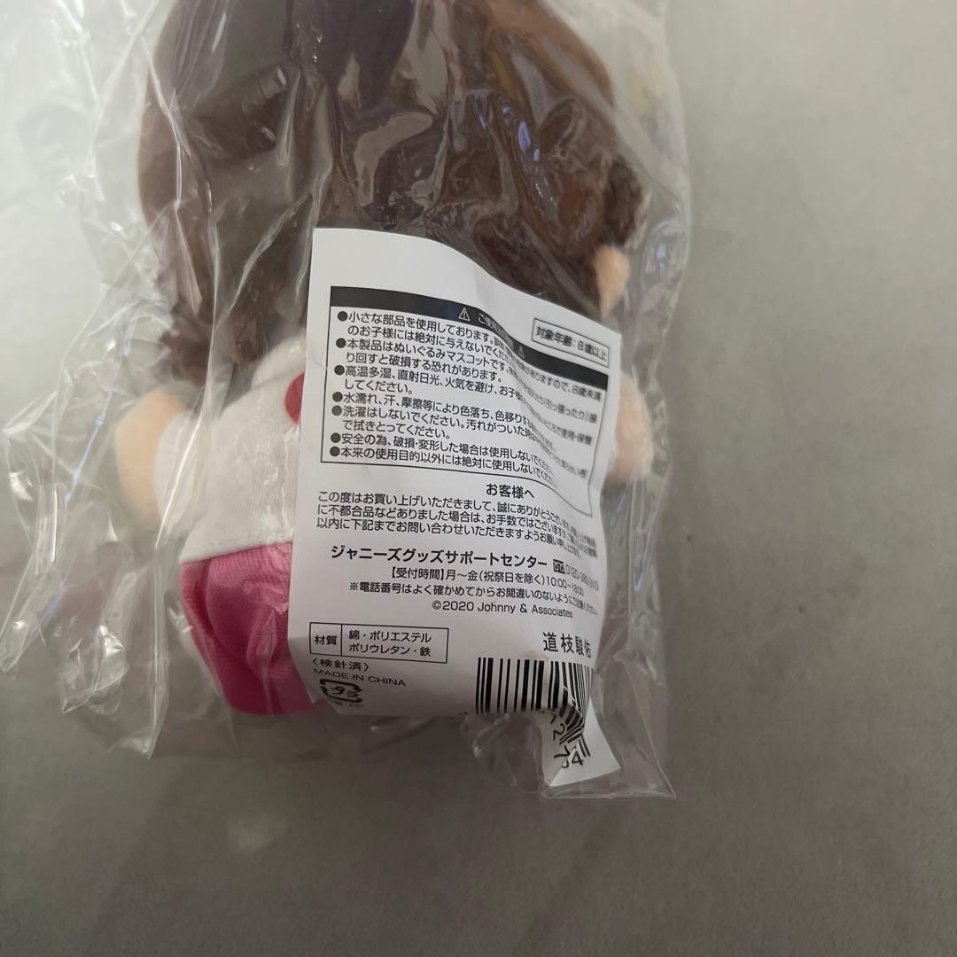 なにわ男子　道枝駿佑　ちびぬい　第一弾　新品未開封