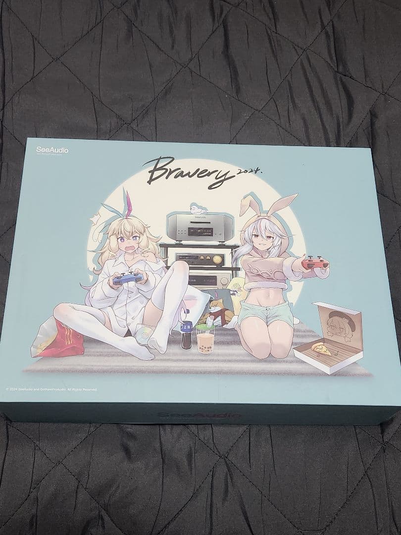 ✨美品✨SeeAudio Bravery 24