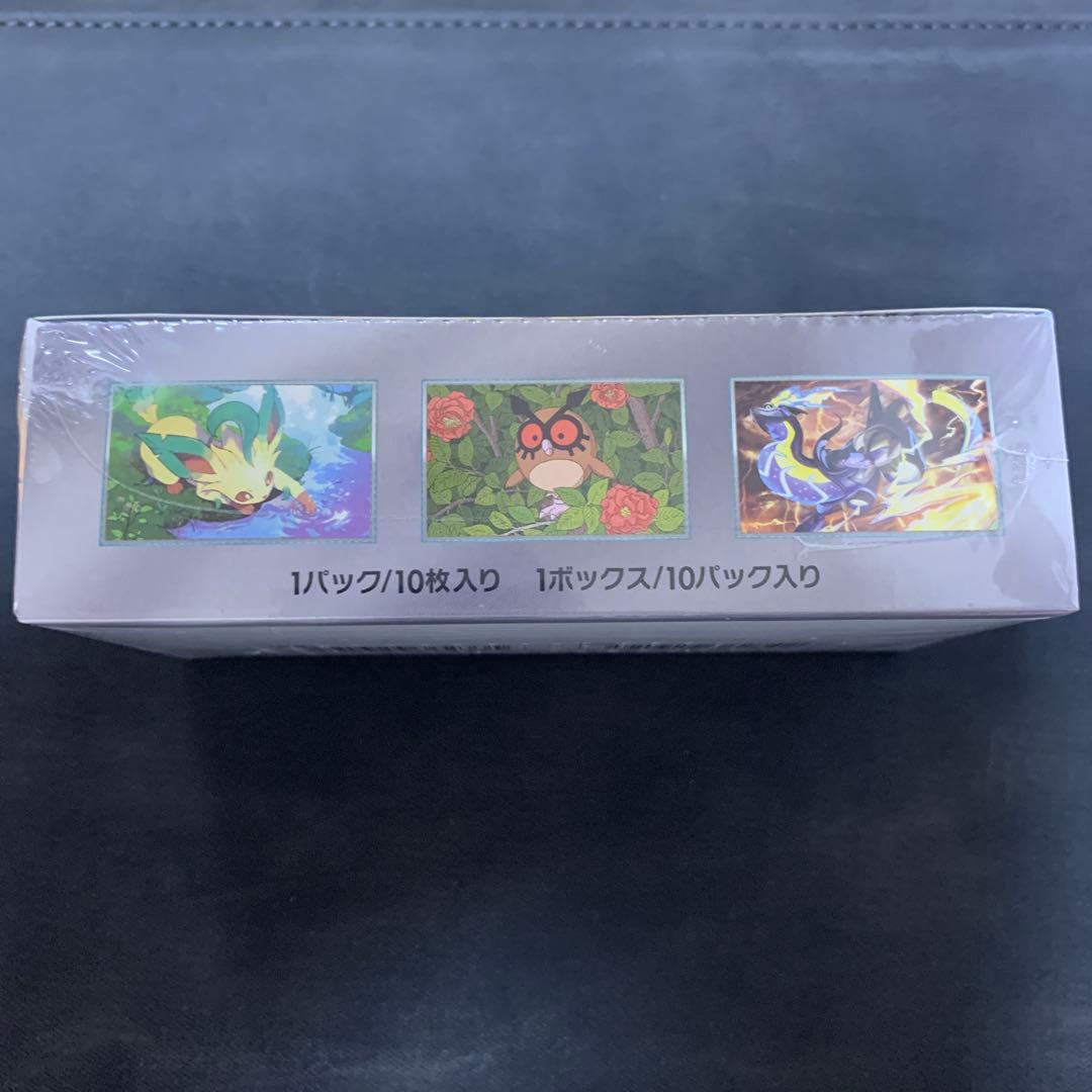 【新品・未開封】テラスタルフェスexシュリンク付き1BOX