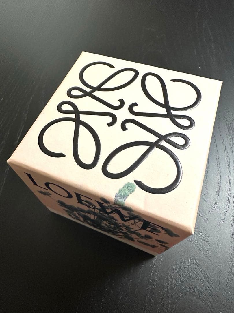 LOEWE オレガノ キャンドル スモール 170g