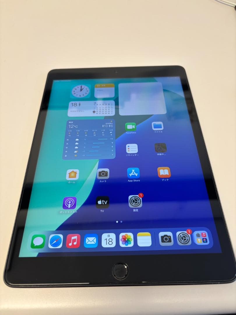 【美品】iPad 無印 第7世代 Wifi 128GB スペースグレー