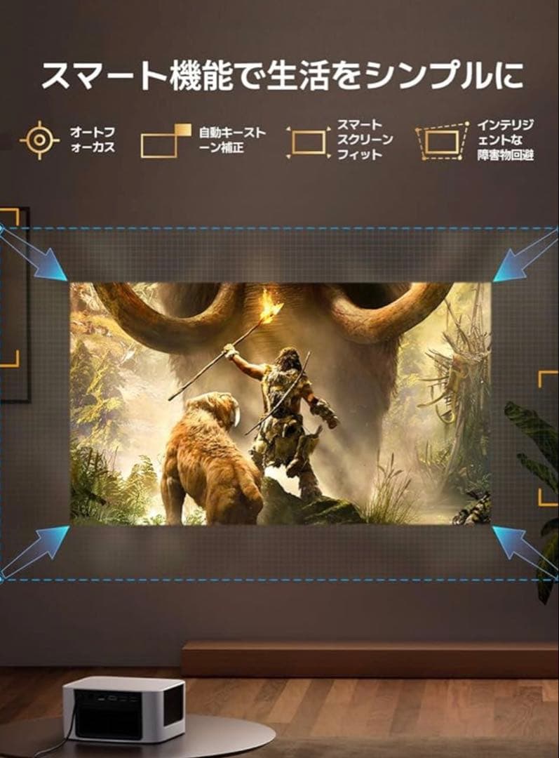 【購入不可】Animus