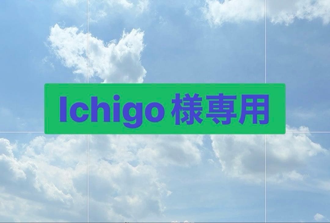 その他 Ichigo