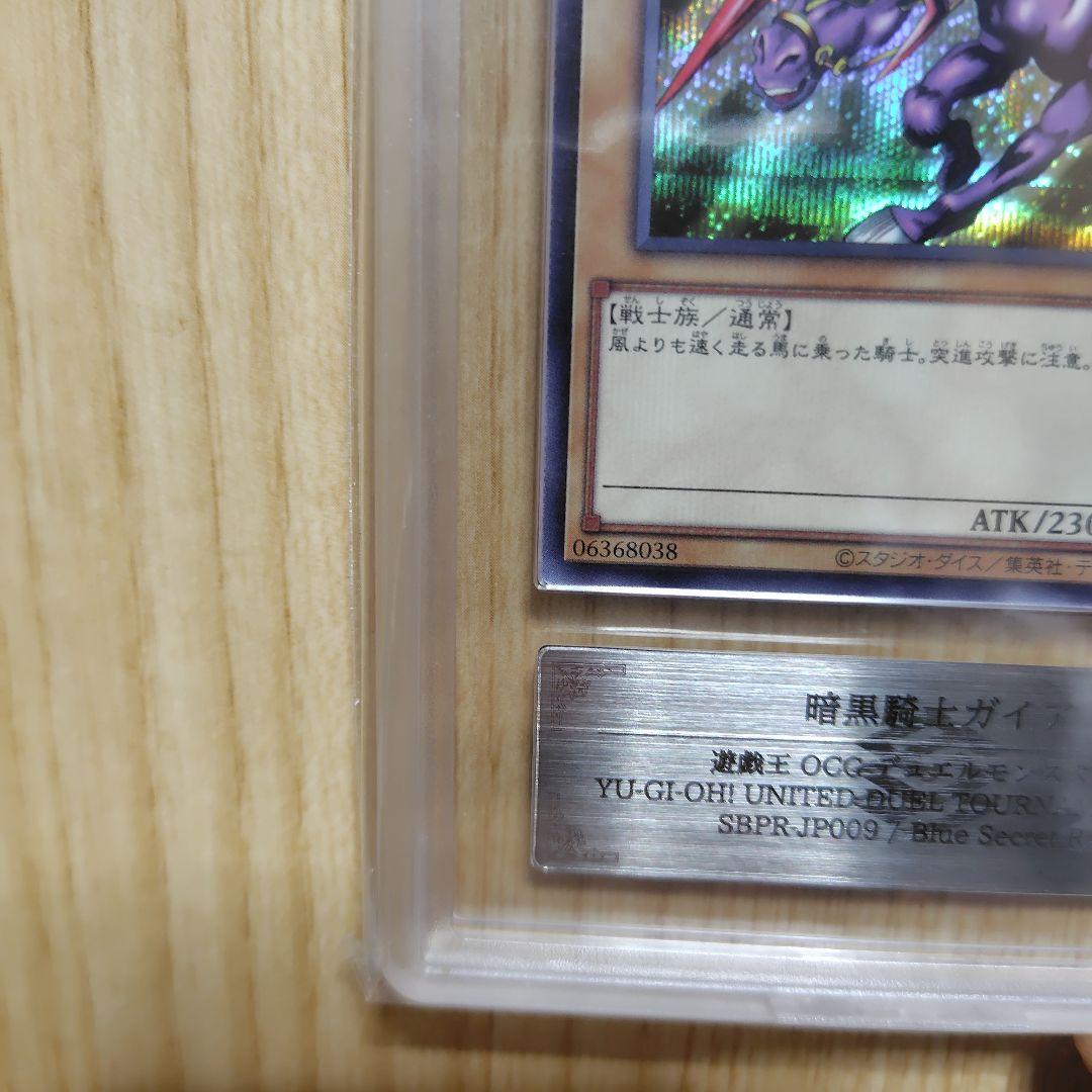 暗黒騎士ガイア ブルシク ars10