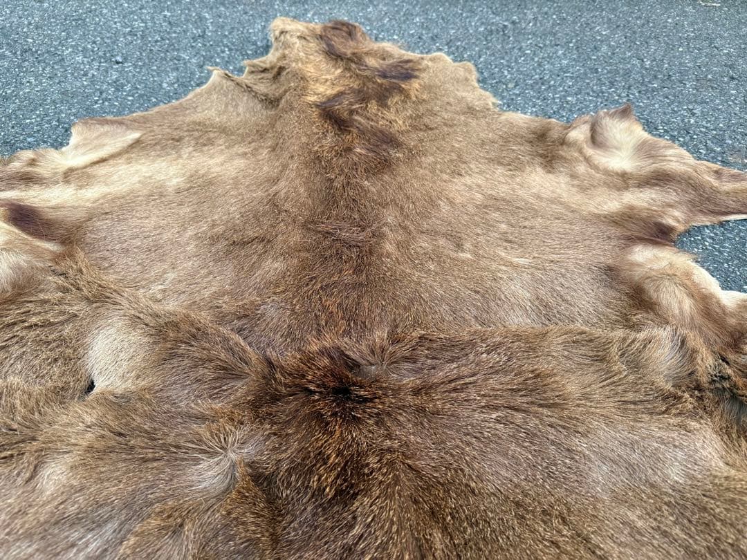 日本鹿 ラグマット 毛皮 敷物 ブランケット 蝦夷鹿 ブッシュクラフト キャンプ
