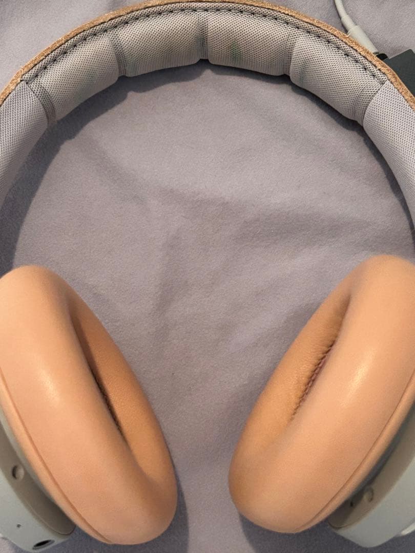 Bang&Olfsen Beoplay H9i (RIIZE アントン愛用)