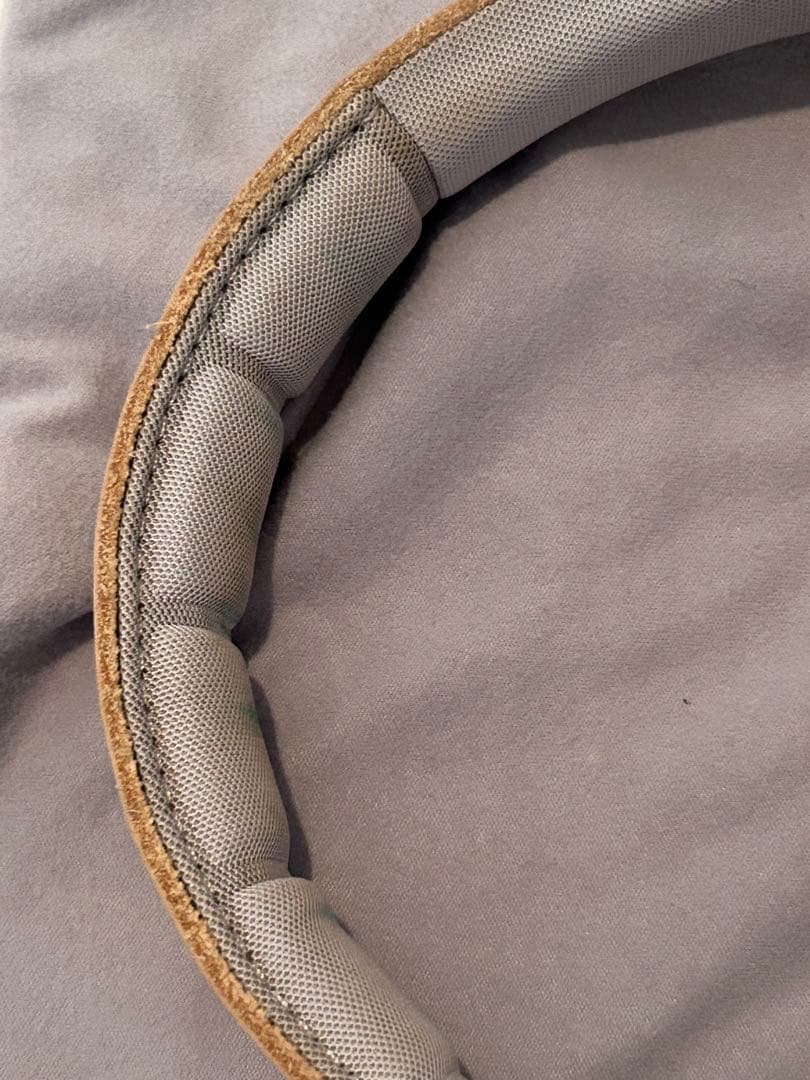 Bang&Olfsen Beoplay H9i (RIIZE アントン愛用)