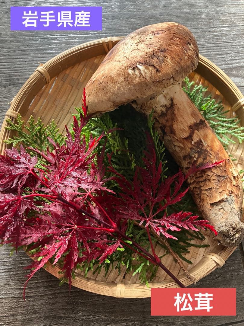 今季‼️最後♪岩手県産　松茸　2本　270g