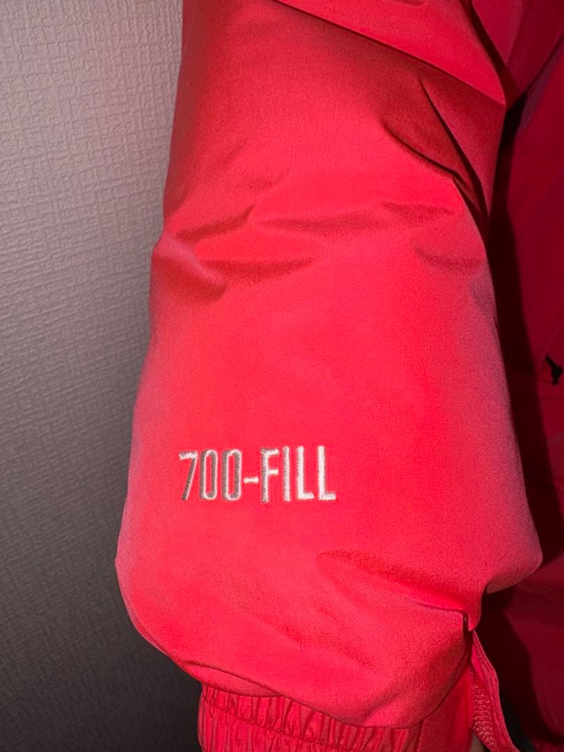 極暖　Supreme GORE-TEX 700-Fill Down Parka