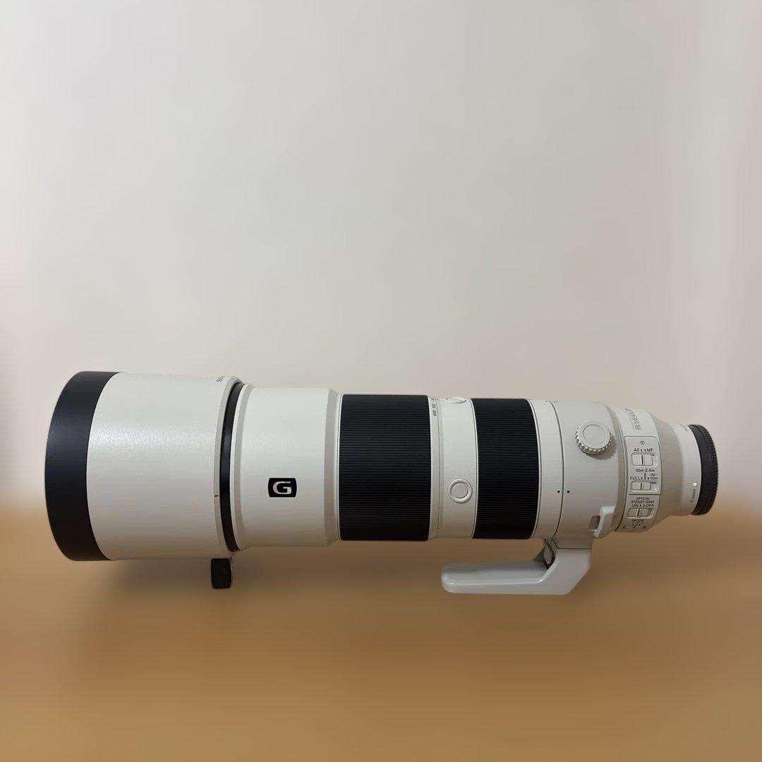 SONY 高性能ズームレンズ FE200-600 F5.6-6.3(美品)