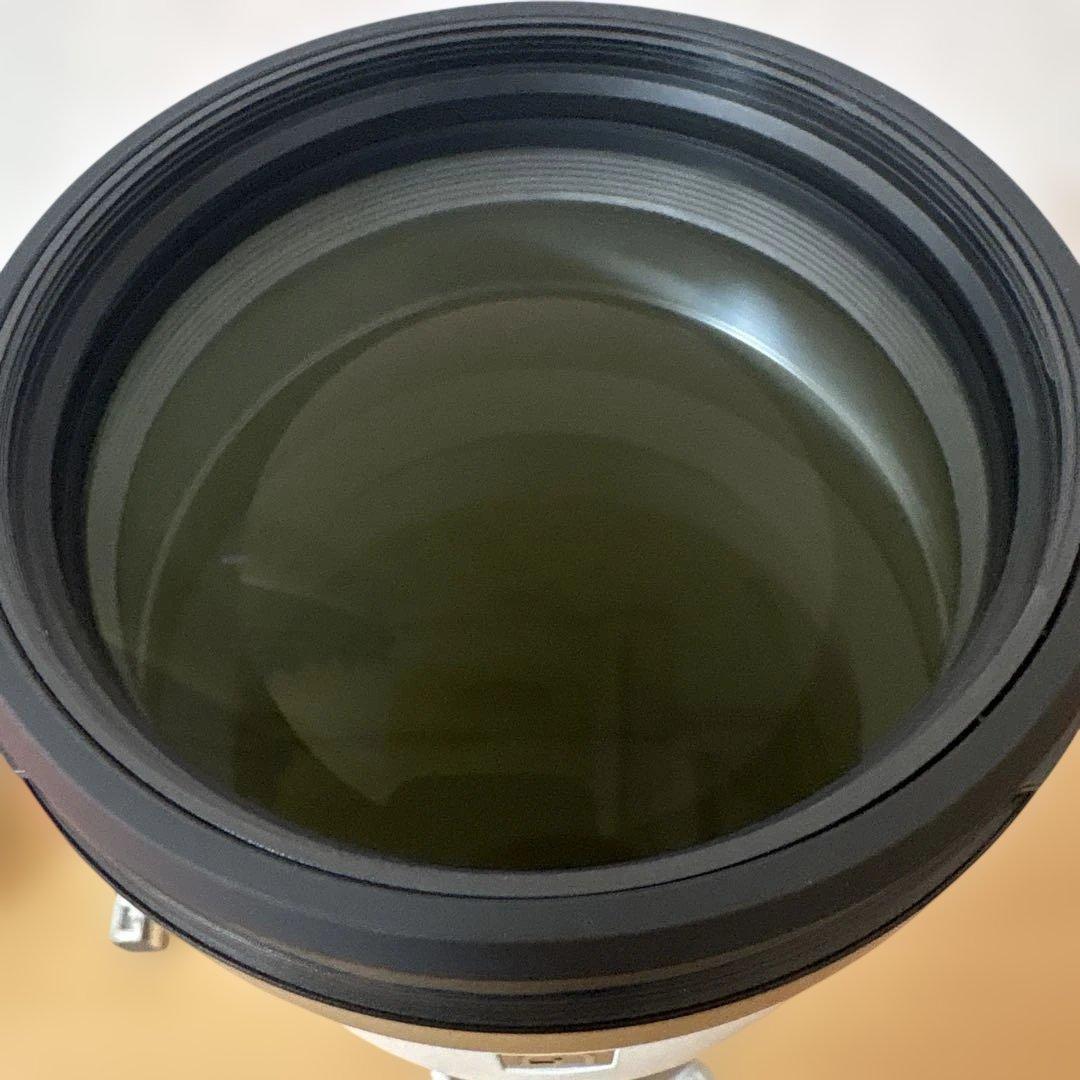 SONY 高性能ズームレンズ FE200-600 F5.6-6.3(美品)