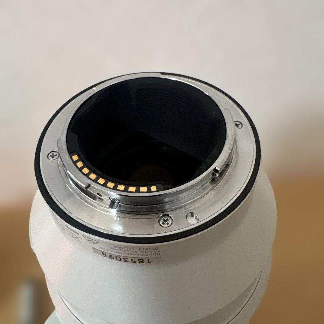 SONY 高性能ズームレンズ FE200-600 F5.6-6.3(美品)
