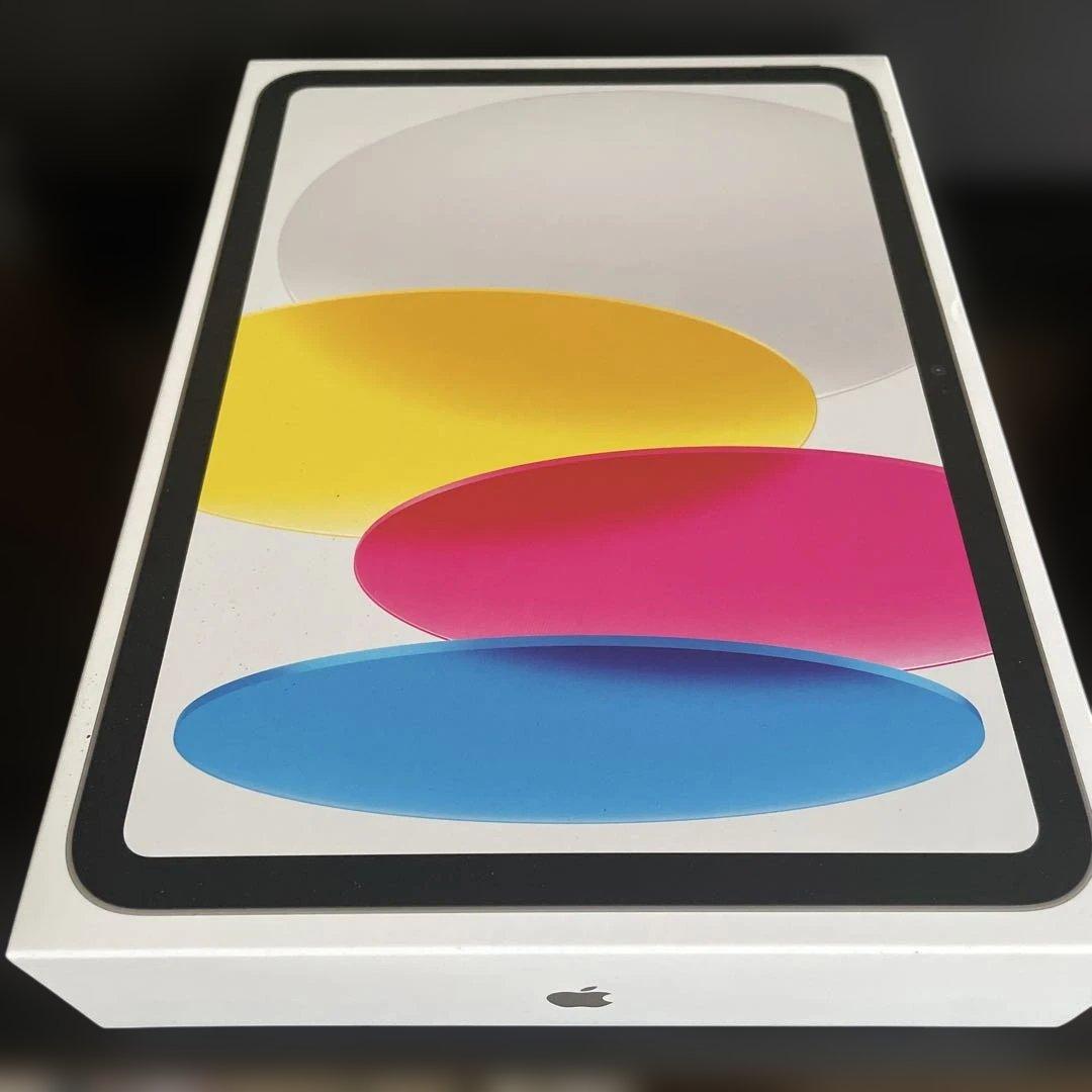 iPad本体 Apple iPad (A16) Wi-Fi 128GB