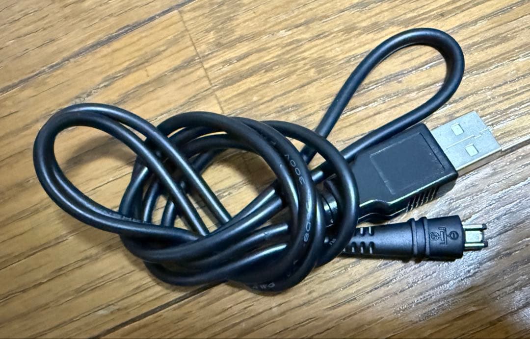 Canon iVIS mini X 本体　バンド録音などに