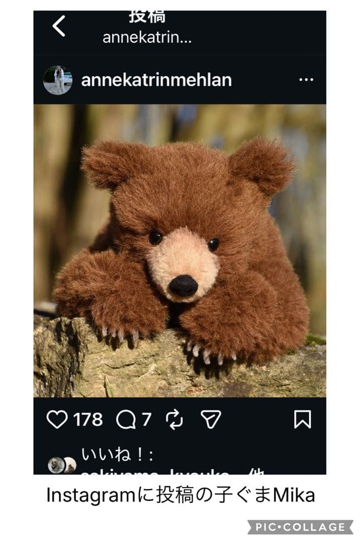 子ぐま（ぬいぐるみ）ANNEKATRIN MEHLAN