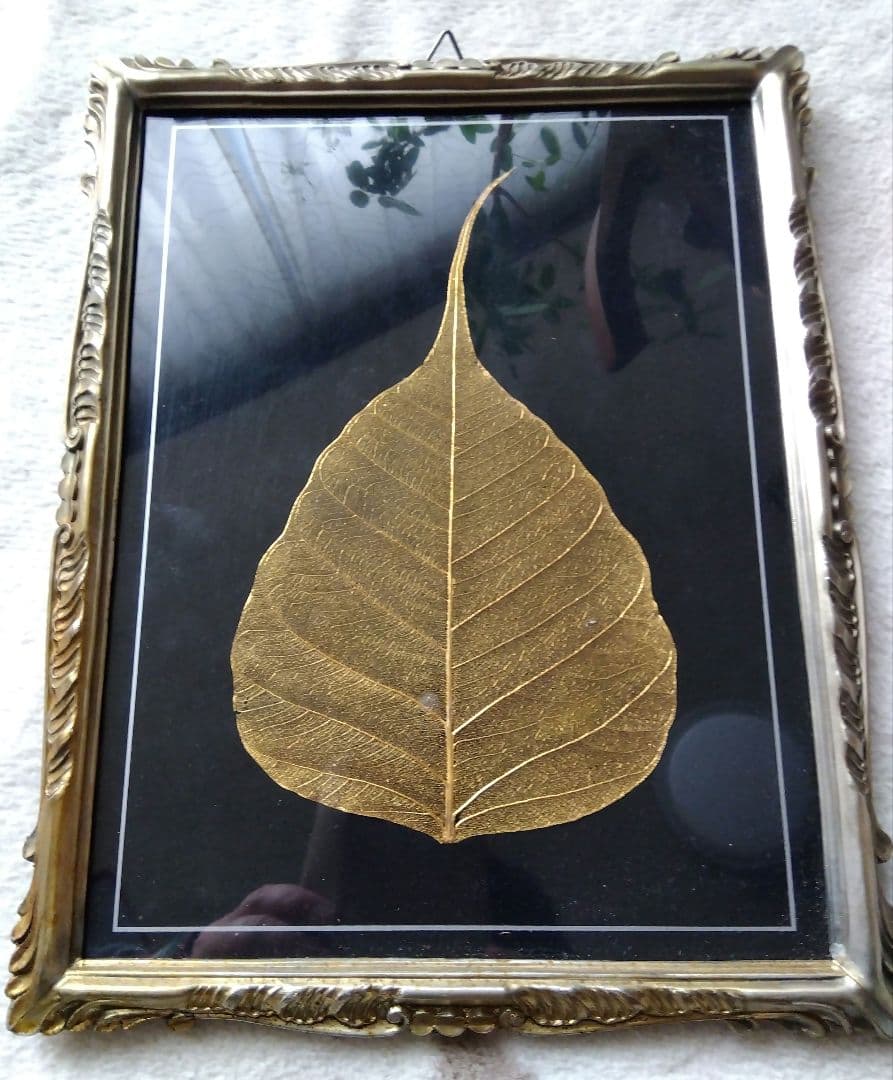 菩提樹　葉脈　24金コーティングアート