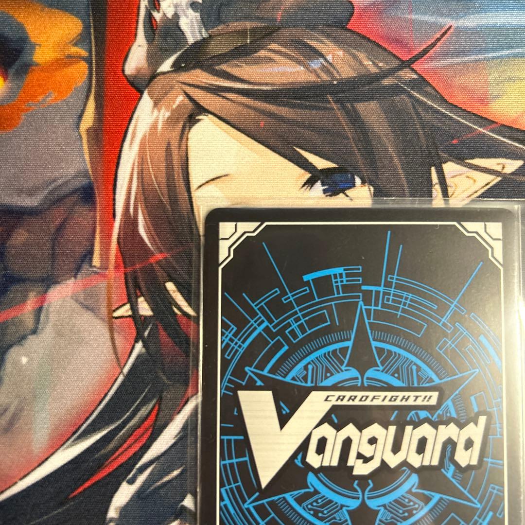 ブラグドマイヤーネクサス　SEC