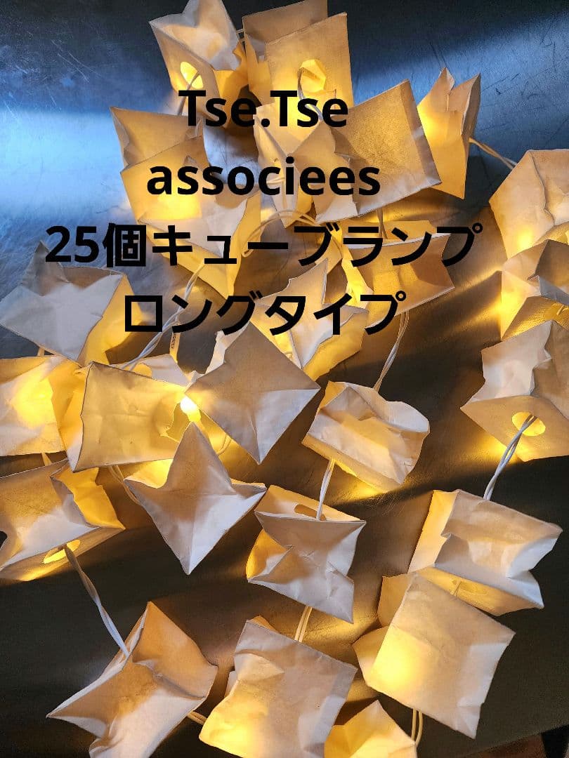 Tse＆Tse associees キューブロングタイプ