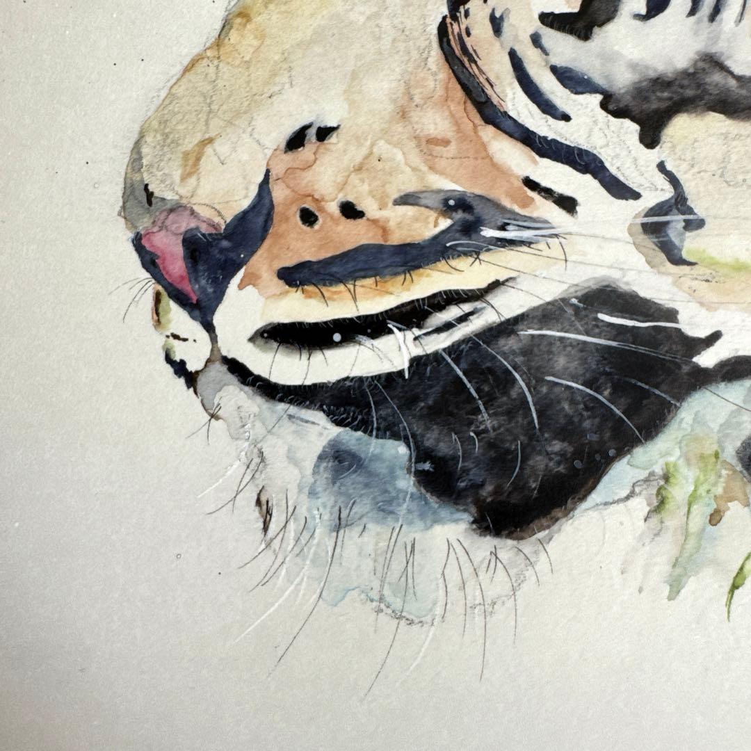 な*な様 虎 トラ 猫 残響 ムラサキ 原画 1点物 (2024年11月)