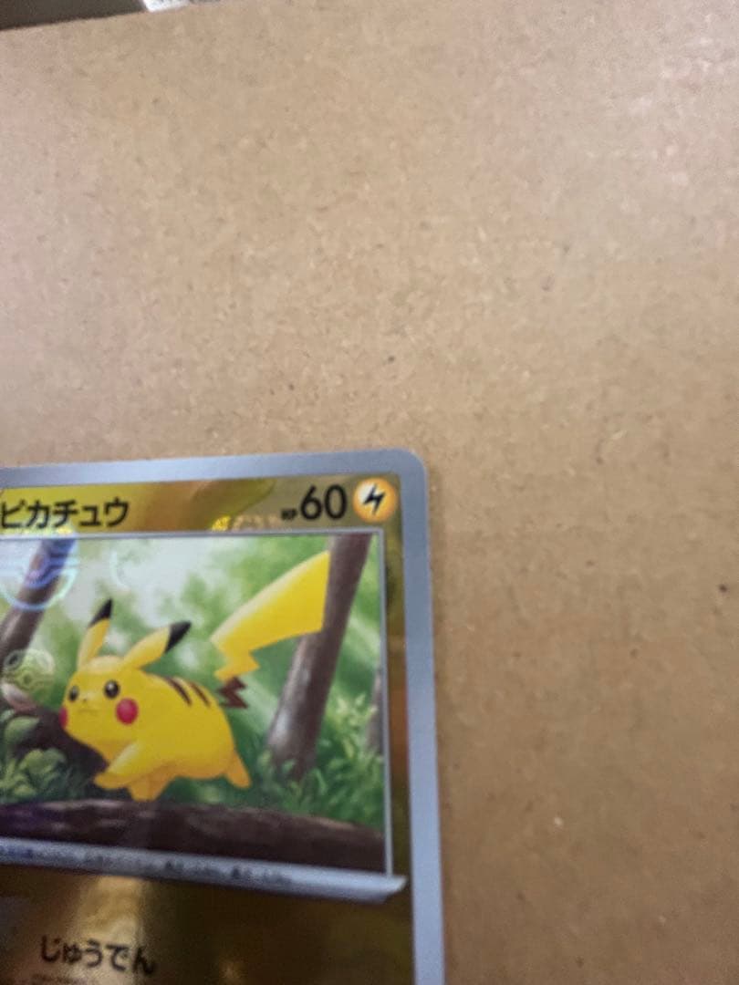 wawawa ピカチュウ マスターボールミラー