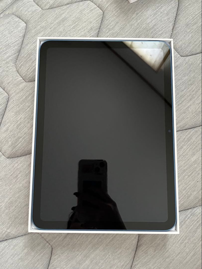 Apple iPad 本体 ブルー 256GB