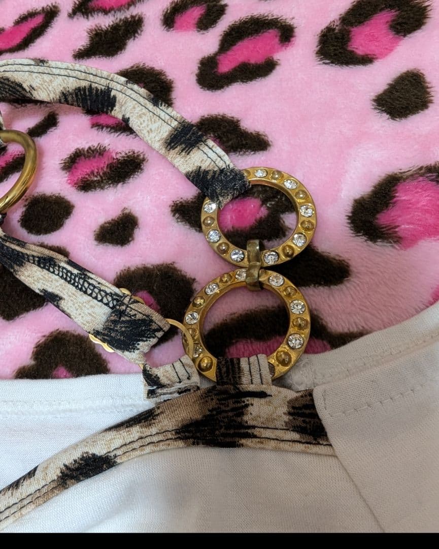 d.i.a. ダイア　トップス　レオパード　ビジュー　レア