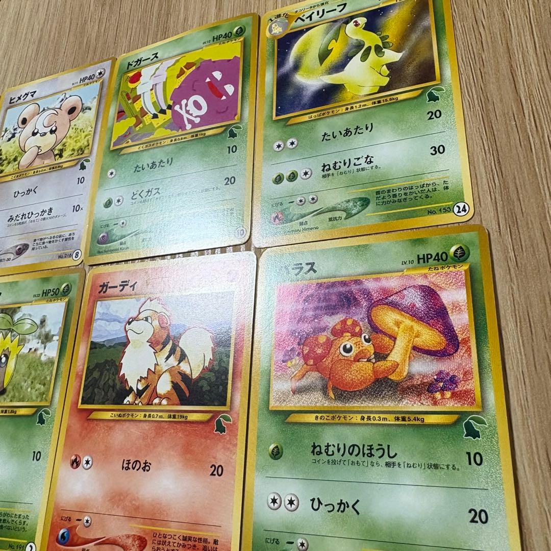 ポケカ　旧裏　イントロパック　チコリータマーク　16枚まとめセット