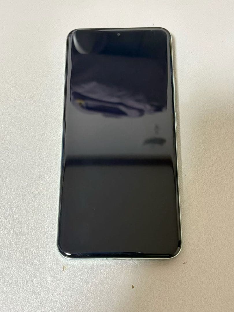 美品 Xiaomi 14 Pro 16+1TB グリーン 中国版