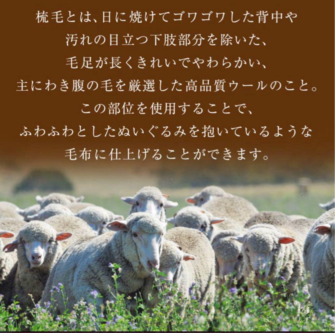 新品✨快眠博士 プレミアムソフゥール タスマニアンウール 最強敷き毛布 シングル