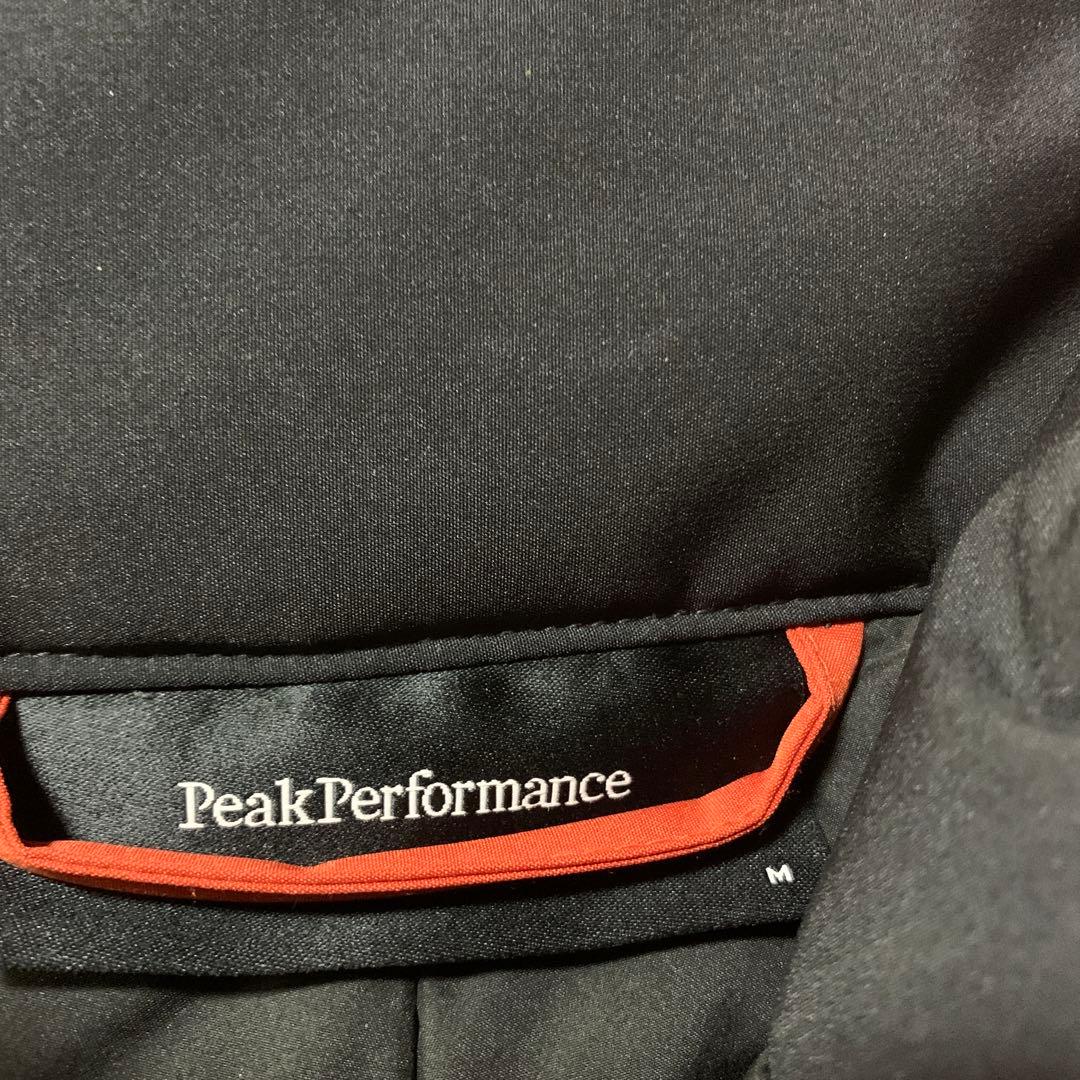 最終ピークパフォーマンス　スキー　パンツ　中綿入り　アニマパンツ　レディース　L