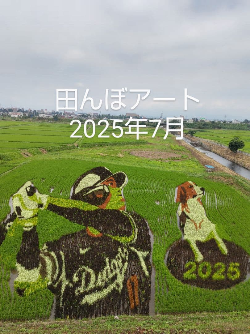 令和７年新蜜　日本みつばちの百花蜜　550ｇ✕4本（2.2㎏）