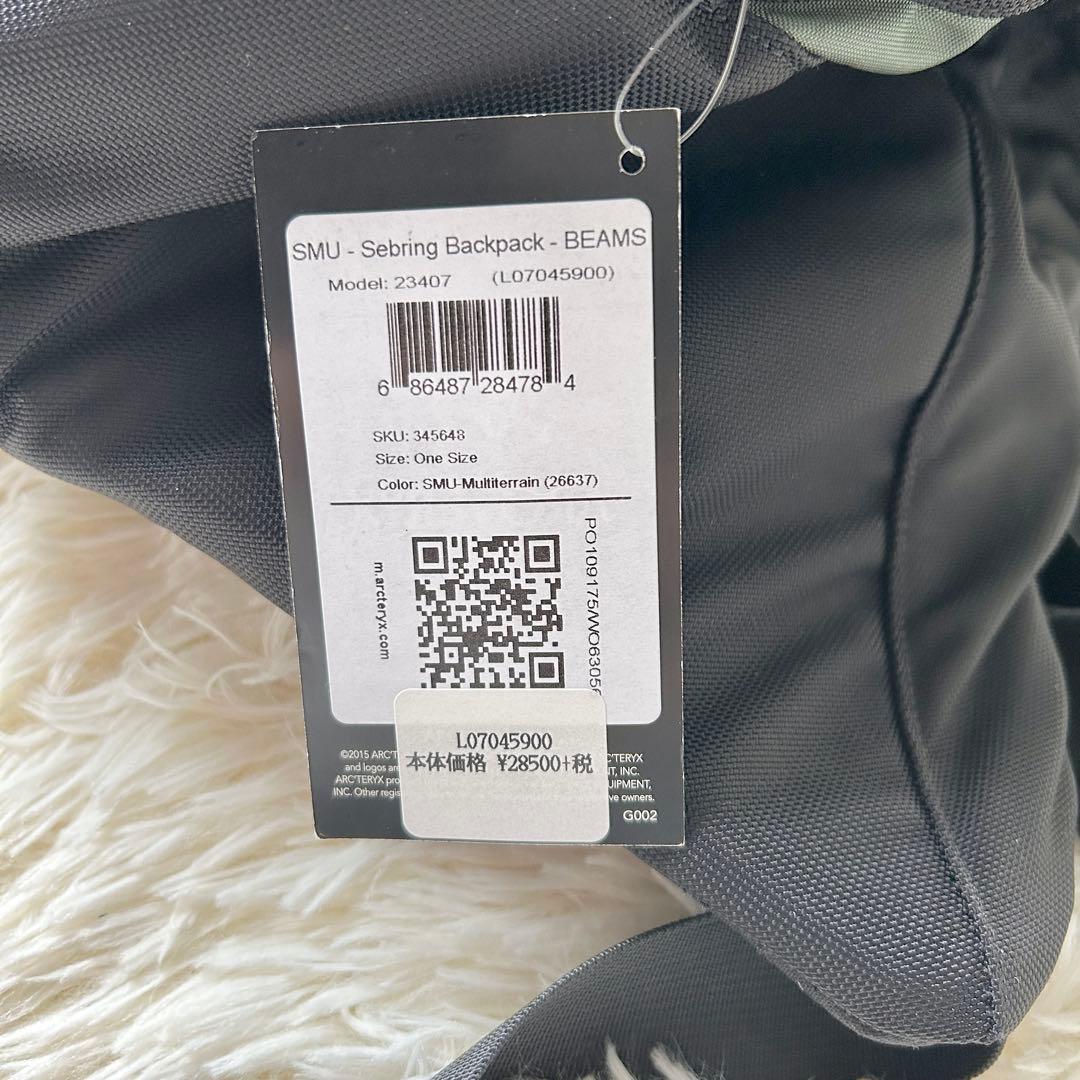 【希少廃盤品】ARC'TERYX beams Sebring リュック 大容量