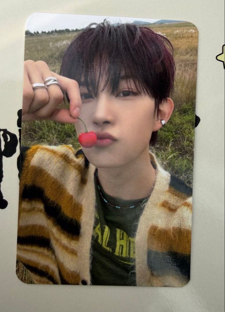 ALD1 ゴヌ　サノク　トレカ