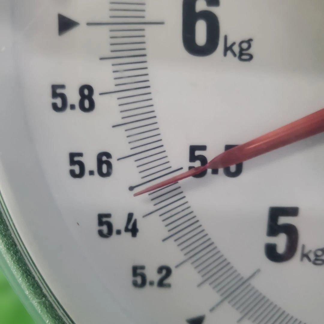 4️⃣ 山梨県産 シャインマスカット＆スカーレット １０房入り 箱込み5.4キロ