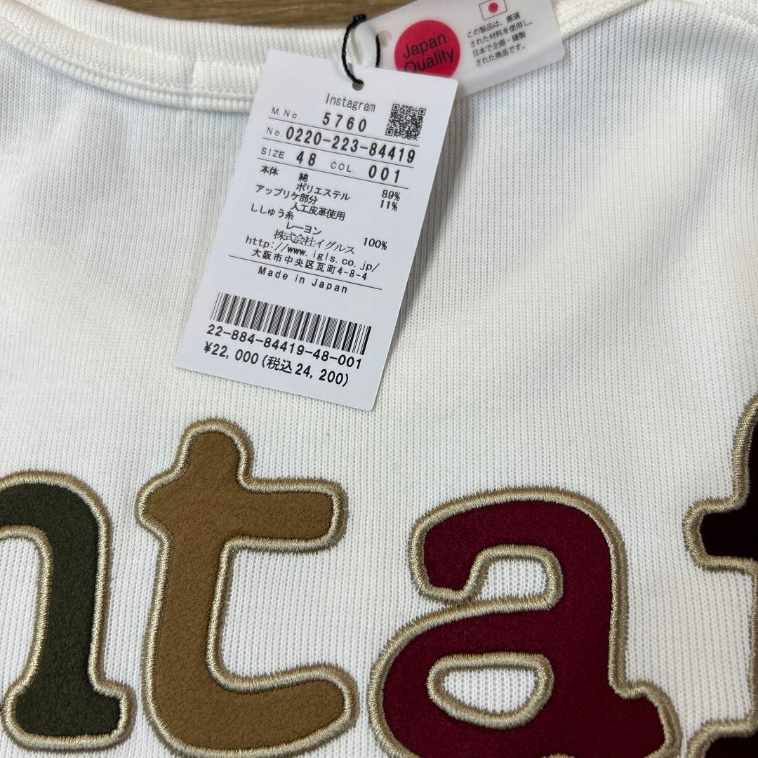 santafe トレーナー バックプリント　48/L 新品　未使用　タグ付き