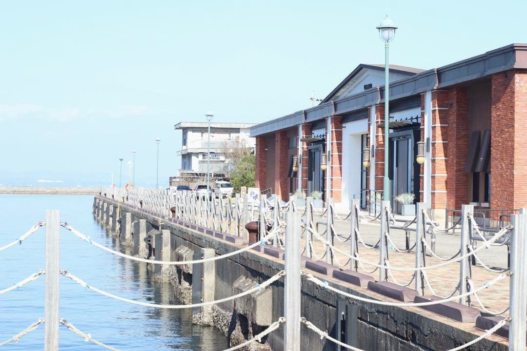 ★ OLYMPUS M-1 + \"M-SYSTEM\" 標準レンズレンズ 50mm