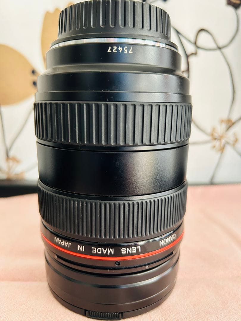 大口径Canon Lレンズ EF 28-70mm f/2.8L USM