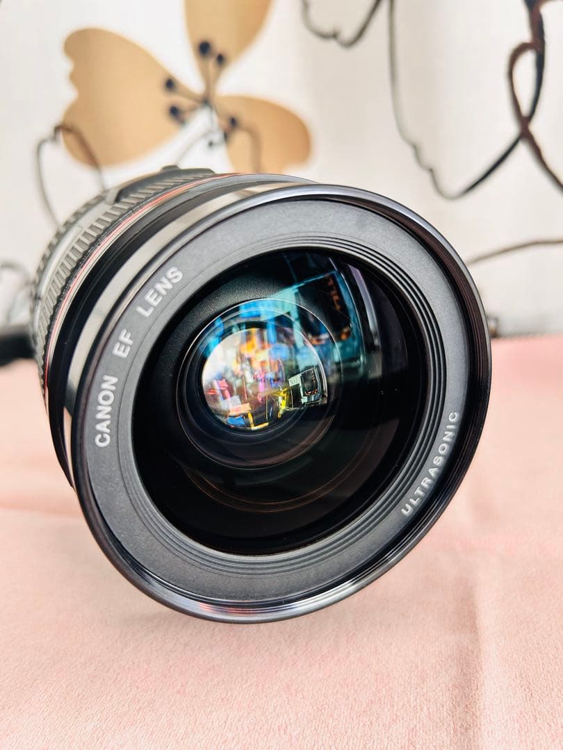 大口径Canon Lレンズ EF 28-70mm f/2.8L USM