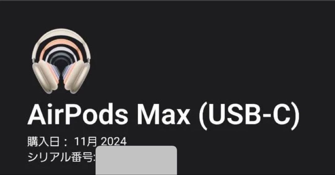 【翌日発送可能】AirPods MAX USB-C