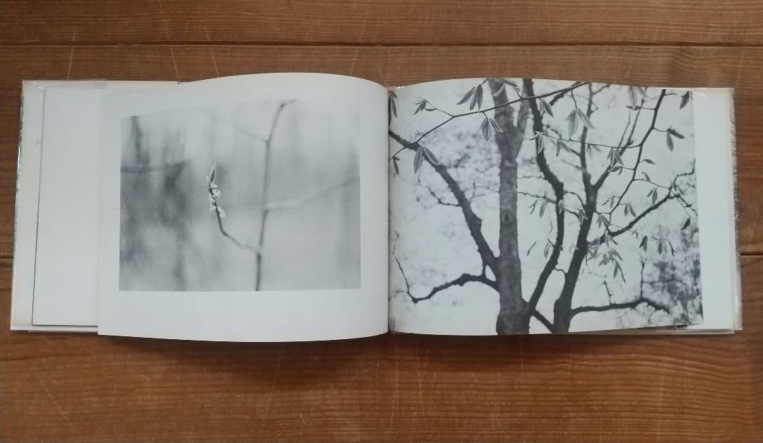 Hellen Buttfield【The Park】写真集★tamiserタミゼ