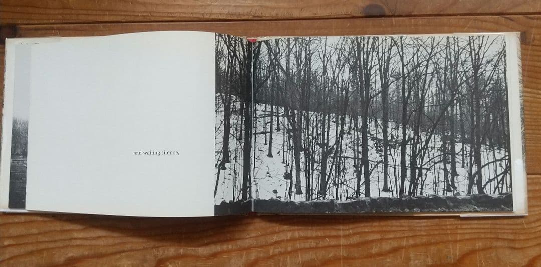 Hellen Buttfield【The Park】写真集★tamiserタミゼ