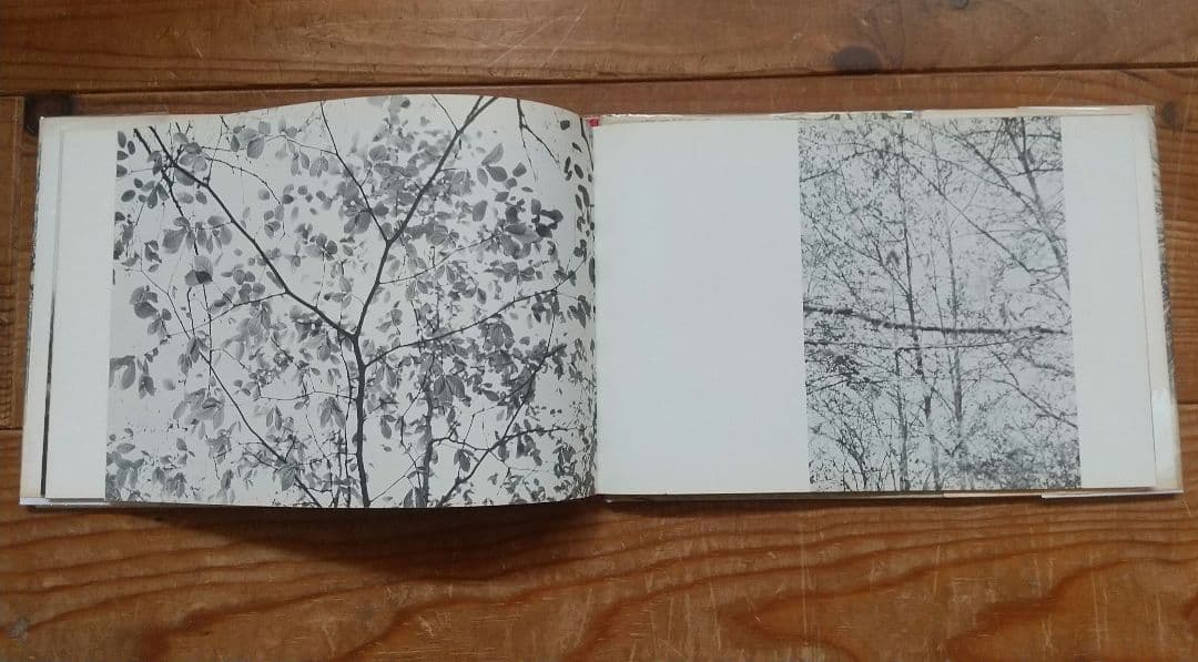 Hellen Buttfield【The Park】写真集★tamiserタミゼ