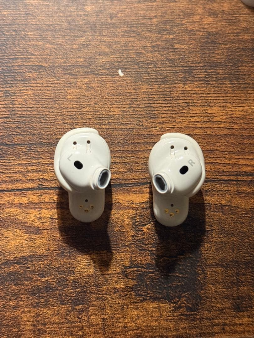 BOSE QuietComfort Ultra Earbuds （ジャンク）