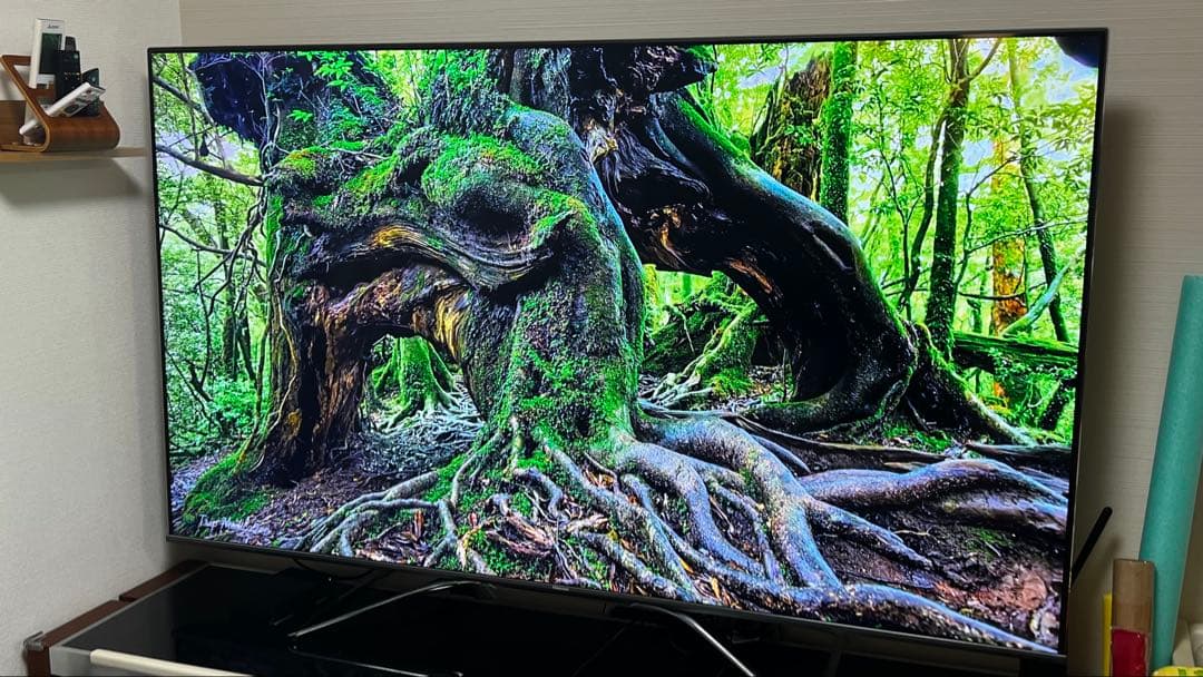 値下【引越し断捨離中！】ハイセンス 75インチ　Hisense 75U8F