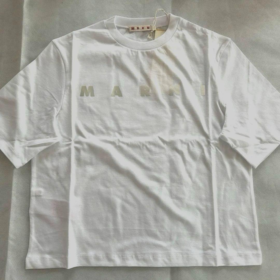 【新品】大人もOK MARNI kids ロゴプリント Tシャツ 12Y 半袖