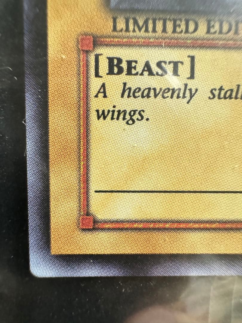 遊戯王　ファイヤーウイングペガサス 未開封　WCS-AE503 大会プロモ