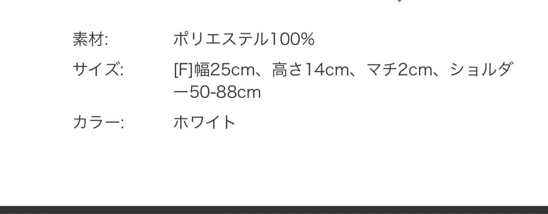 新品未使用＊THIRD MAGAZINE×LeSportsac