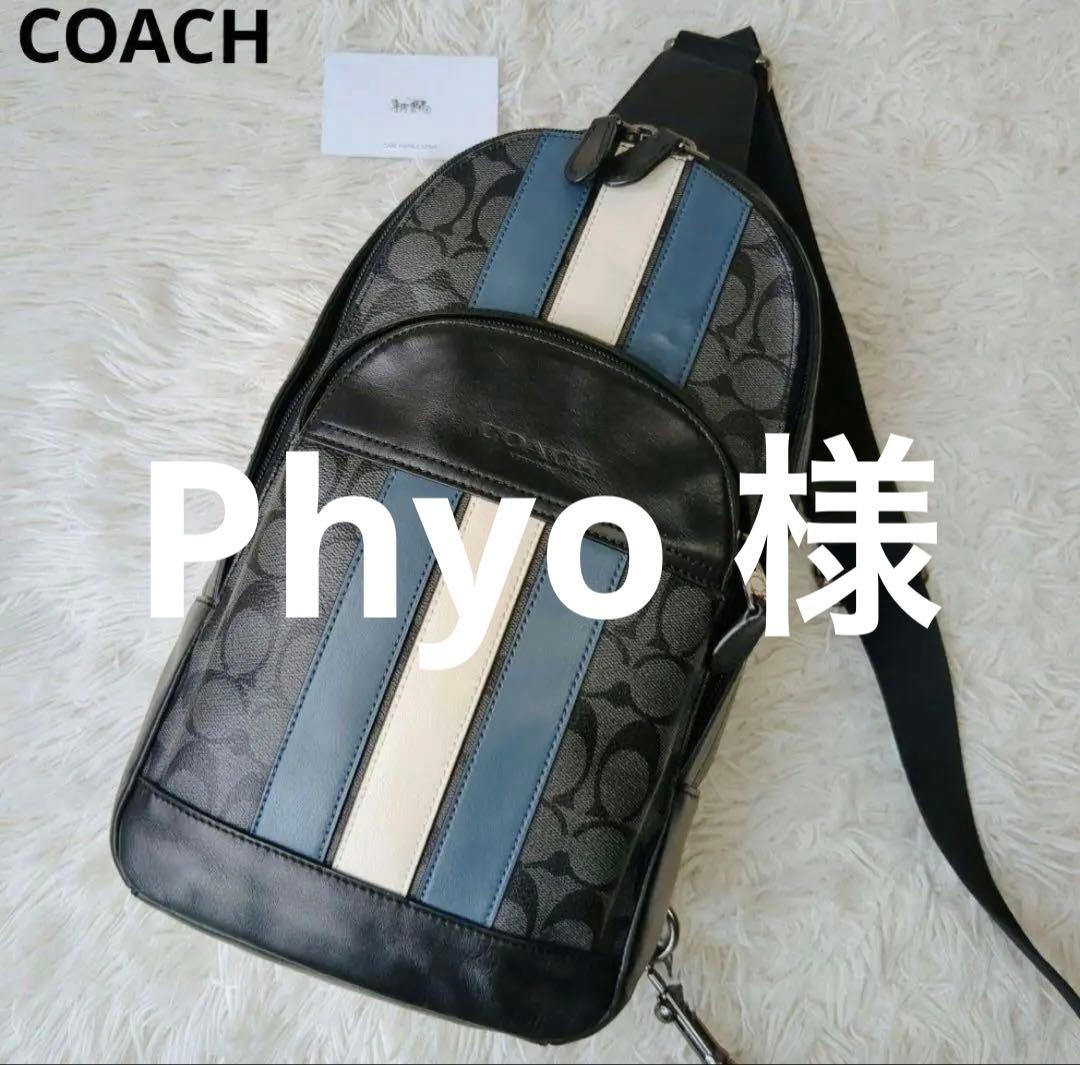 COACH ストライプデザイン ショルダーバッグ
